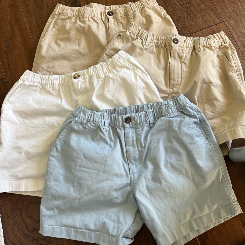 Set of Four Casual Chubbies Shorts w/5.5” Inseam